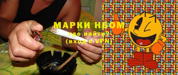 сатива Нефтекумск
