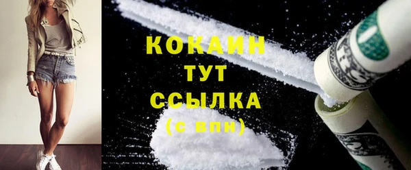 гидропоника Новозыбков