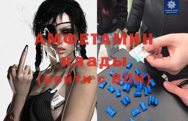 прущие грибы Нея