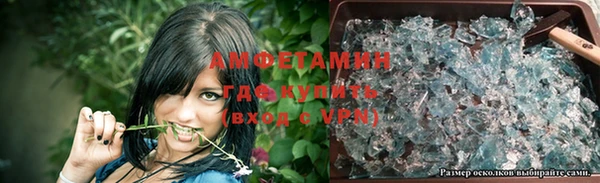 прущие грибы Нея