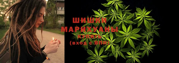 сатива Нефтекумск