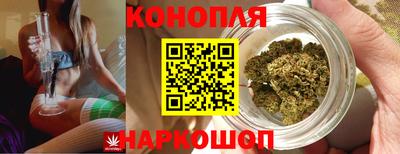 индика Ипатово