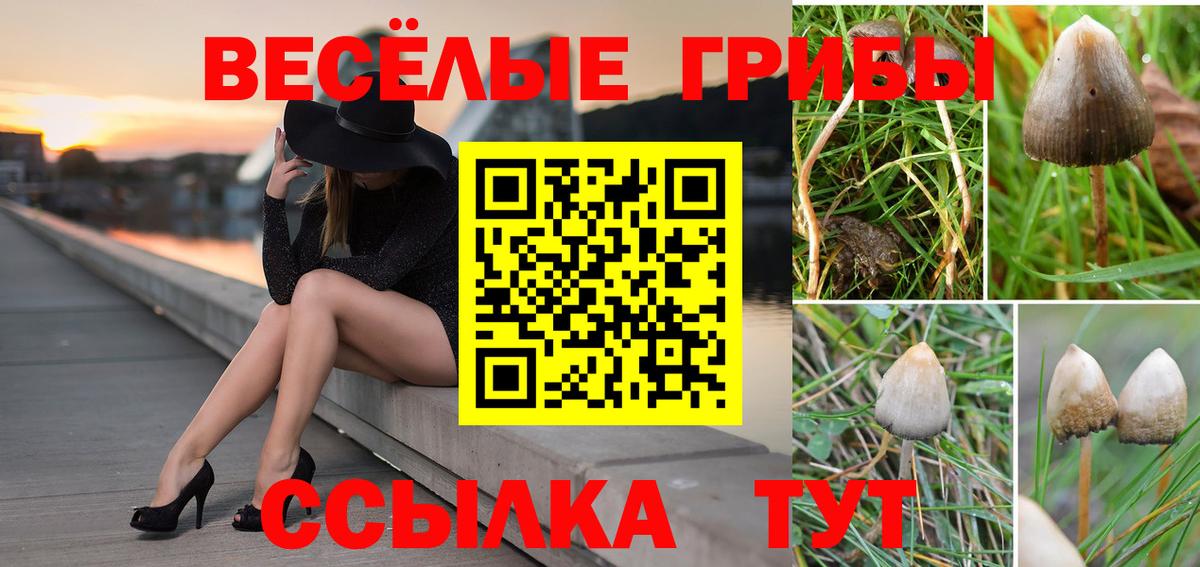 Галлюциногенные грибы Magic Shrooms Унеча