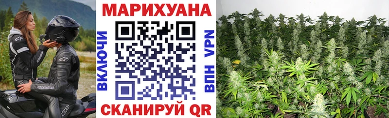Каннабис конопля  наркота  Унеча 